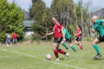 Bild 96 - F SG NieBar - IF Stjernen Flensborg : Ergebnis: 2:0